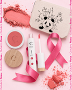 LA VIE EN ROSE